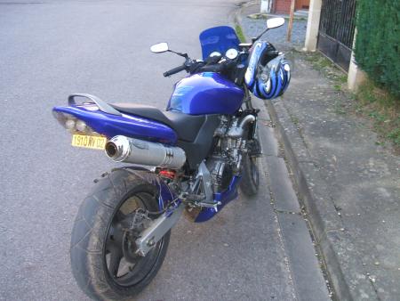 hornet 600