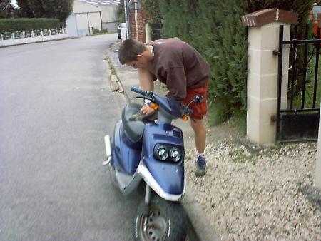 gaille